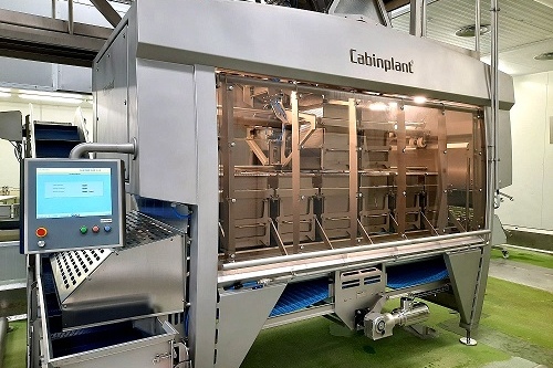 Grup Baucells Alimentació увеличила свою прибыль на поставках свинины в Китай
